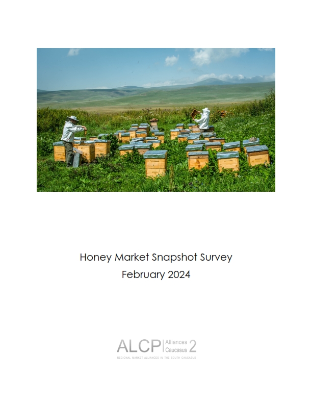 Honey Market Snapshot Survey February 2024